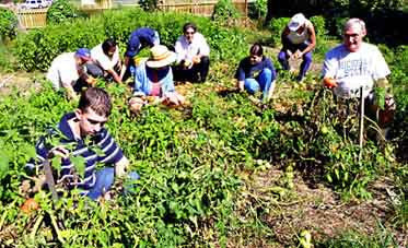 AVENGER Organic Weed Killer - Biodegradable / Non-toxic - Concentrate 128 fl oz / 1 Gallon - Eco Living Friendly (ELF Brands)